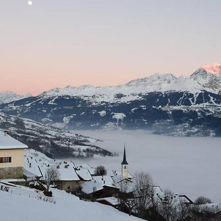 Studio Cosy Vallee De Tarentaise La Plagne Exterior photo